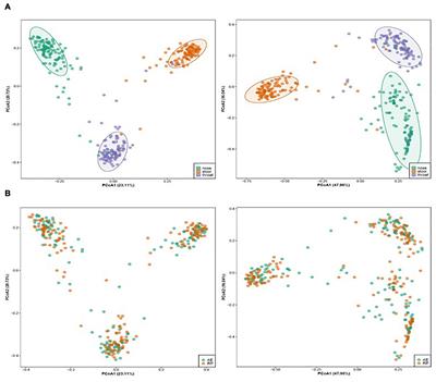 Nasal Microbiome Change During and After Exacerbation in Asthmatic Children